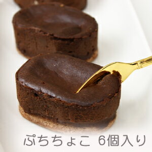 半生チョコレートケーキ、ぷっちょこ （プチ・ショコラ） 6個入り 【あす楽対応】[チョコレートケーキ]