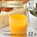 【静岡三ヶ日】三ケ日みかんジュース ストレート「あおしま」180ml 12本
