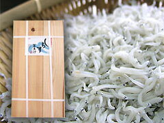 【静岡県産】駿河湾 由比 釜揚げしらす 500g 木箱入れ