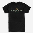 DCコミック グッズ アクアマン Tシャツ 半袖 レディース メンズ
