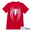 マーベル Marvel US公式 スパイダーマン Tシャツ 半袖 レディース メンズ