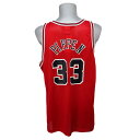 NBA ブルズ スコッティ・ピッペン レプリカユニフォーム Champion ロード