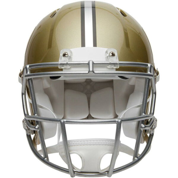 Riddell NFL スーパーボウル50周年記念ヘルメット