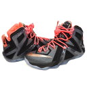 ナイキ レブロン/Nike LEBRON レブロン XII エリート