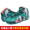 ナイキ / Nike レブロン 12 クリスマス LEBRON XII XMAS グリーン
