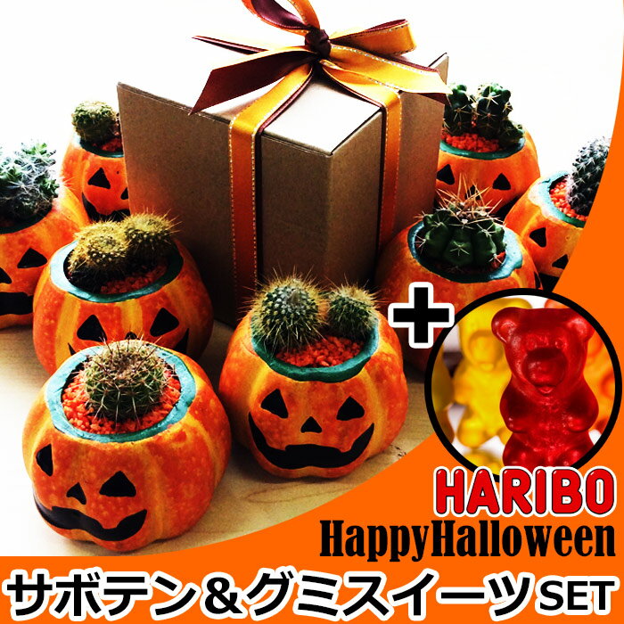 ハロウィンかぼちゃとミニサボテン HARIBO（ハリボー）グミのスイーツ ギフトセット 観…...:selene-:10034304