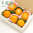 京橋 千疋屋 せんびきや せとか詰め合わせ6個入 【クール便(冷蔵)】