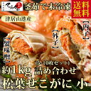 早割ポイント20倍【送料無料 指定日OK 津居山港産】釜茹で...