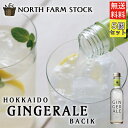 北海道ジンジャーエール ベーシック 200ml ×5個セット 送料無料 北海道 北海道産 炭酸飲料水 お土産 ギフト