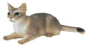フルタ チョコエッグ ペット動物 第4弾 009 シンガプーラ(セーブルティックドタビー)【中古】