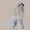 フルタ チョコエッグ ペット動物 第3弾 007-B プードル 白【中古】
