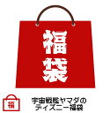 宇宙戦艦ヤマダのディズニー福袋【Disney】【数量限定】...