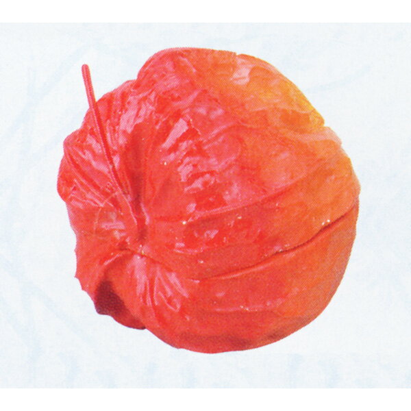 【茶道具・香合】酸漿香合 乾漆　畦地粒俵作