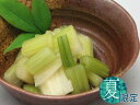 せれり《セロリ浅漬け》漬物 京都 お土産...