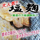 今話題の塩麹エコパック登場!!　塩糀　塩麹　塗って、漬けて焼くだけで美味しい。　しおこうじ　シオコウジ　麹漬け今話題の万能調味料『塩麹』エコパックタイプ新登場♪楽天サーチで人気急上昇中！！！素材の風味をいかして、旨みがアップしますよ♪