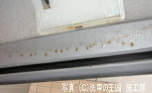 当店オリジナルグッズを特価にてご提供中・ ネックストラップ(45cm)・ ワイピングクロス(14.5cm×14.5cm)※ お一人様1点限り