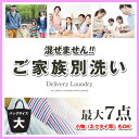 【7点まで詰め放題!】宅配クリーニングサービス、ビ