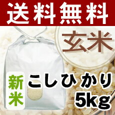 【送料無料】23年産新米こしひかり5kg『玄米』*北海道・沖縄別途送料500円が掛かります