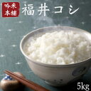 こしひかり 5kg 送料無料 福井県産【令和元年産】【北海道3,980円未満送料別途必要】【沖縄9,800円未満送料別途必要