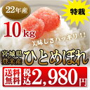 宮城県産特別栽培米ひとめぼれ（JA登米）　10kg米　送料無料美味しさハッキリ！！米　の美味しさを味わってください。大満足な！