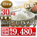 富山県黒部産こしひかり 玄米30kg噛みごたえ抜群！！全国初の地域ブランド黒部米！