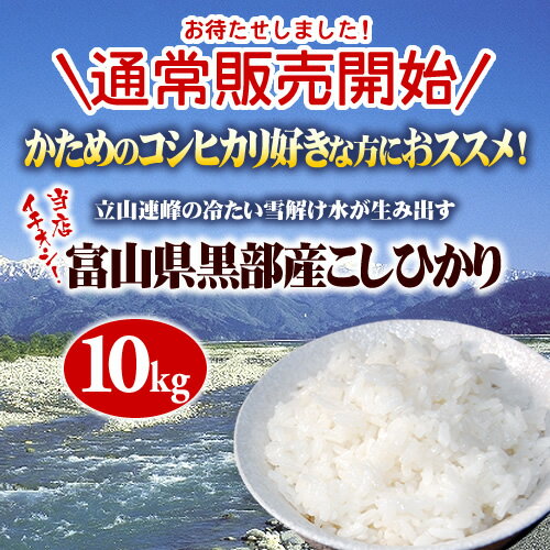 【お米 10kg 送料無料】富山県黒部産コシヒカリ 10kg【沖縄・離島は送料別途必要】【お米 23年産　コシヒカリ】【ニジュウサンネンド　コシヒカリ】【にじゅうさんねんど　こしひかり】コシヒカリ【米】【送料無料】【10kg】