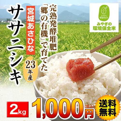 【送料無料】土から育てた宮城県産特別栽培米ササニシキ（JAあさひな） 2kg【eco包装】【沖縄・離島は送料別途必要】