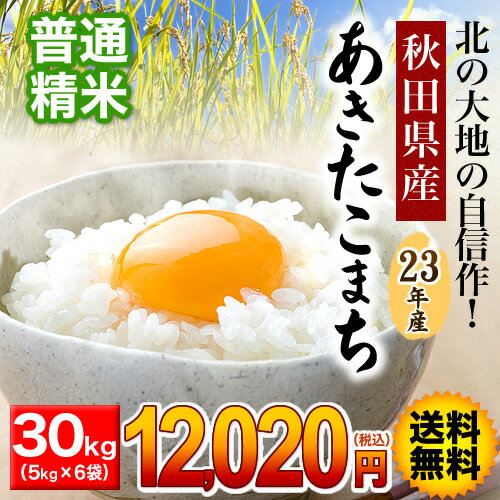 【お米 30kg 送料無料】秋田県産あきたこまち 30kg【オコメ　ジュッキロ　ソウリョウムリョウ おこめ　じゅっきろ　そうりょうむりょう okome　jukkiro　souryoumuryou】