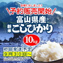 富山県産コシヒカリ！送料無料10kg