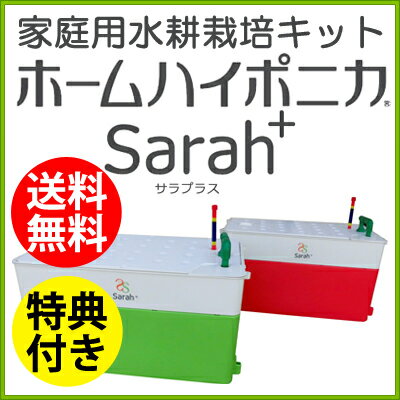水耕栽培 キット【ホームハイポニカ Sarah+（サラプラス）】...:sessuimura:10001390