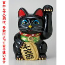 常滑焼招き猫 黒手長小判猫10号(左手) [ 24 x 25...