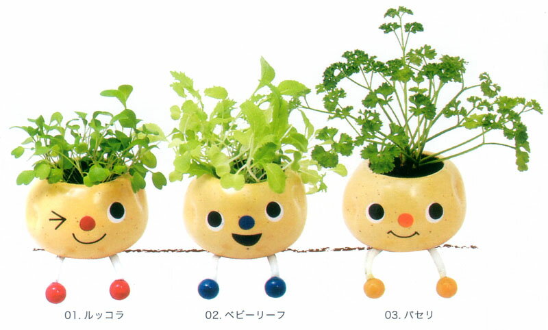 植木鉢と種がセットになったポテリーニョ【楽ギフ_メッセ】【楽ギフ_メッセ入力】【楽ギフ_のし】 【楽ギフ_のし宛書】ポテサラによく合う野菜栽培セット