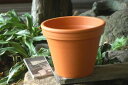 【植木鉢】13インチ「ドイツ鉢」