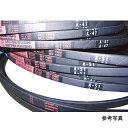三ツ星ベルト RED A-46 レッドラベルVベルト RED A型 レッドベルト 耐熱 耐油
