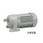 G3F28S5-WP08TWNEN ニッセイ 平行軸 防水タイプ 三相 フランジ取付 ブレーキ無し AC400V 0.75kW