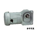 H2FM-22L-100-S100 ¥Ë¥Ã¥»¥¤ ľ¸ò¼´ ɸ½à¥¿¥¤¥× ¥Õ¥é¥ó¥¸¼èÉÕ ¥Ö¥ì¡¼¥Ìµ¤· ñÁê 100W º¸¼´(L)