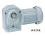 H2LM-32R-240-T040 ニッセイ 直交軸 標準タイプ 脚取付 ブレーキ無し 三相 0.4kW 右軸(R)