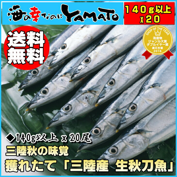 三陸産 生秋刀魚 140g以上×20尾 シャーベットとブロックのダブル氷投入により抜群の鮮度でお届け さんま サンマ ※食べ方ガイド付き Pay-easy・edy決済は使用不可 冷凍商品との同梱不可