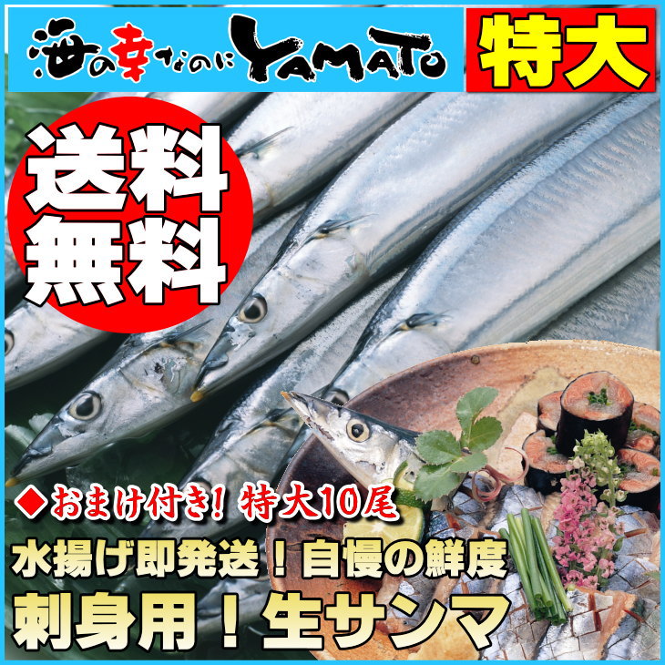 【送料無料】おまけ付！特大10尾刺身用サンマを産地直送！水揚げ⇒即発送の高鮮度さんま/刺身/産直/産地直送