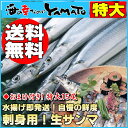 【送料無料】おまけ付！特大15尾刺身用サンマを産地直送！水揚げ⇒即発送の高鮮度さんま/刺身/産直/産地直送