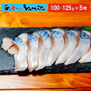 訳あり 金華しめ鯖 100〜125g×5枚 シメサバ 〆さば...