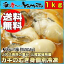 年末年始配送予約受付中!【送料無料】特大2Lサイズ厳選!三陸宮城県産