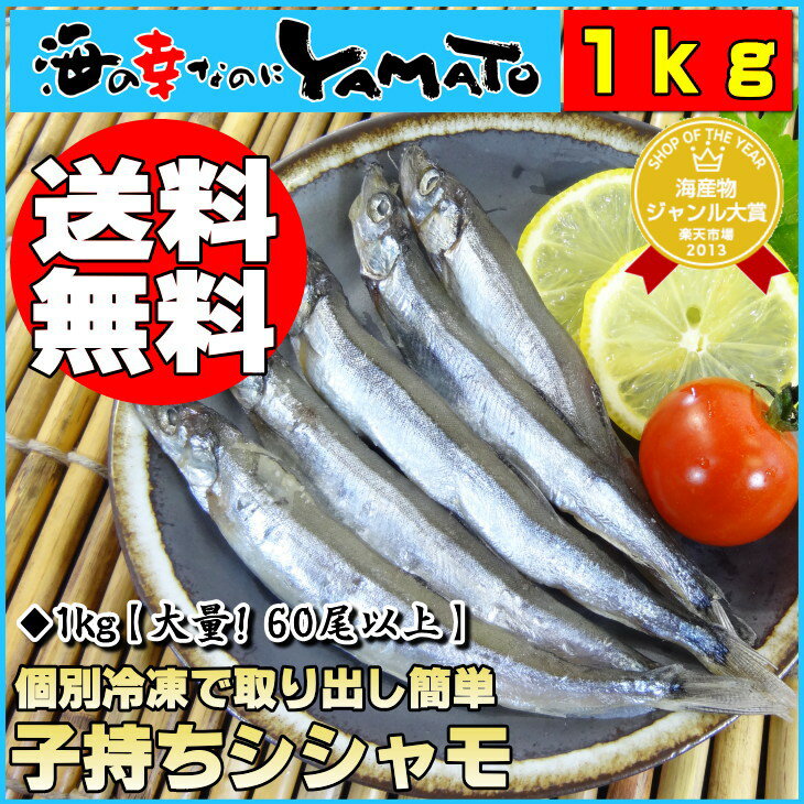 子持ちシシャモ若干アウトサイズ＆キズありの為、限界価格！●大盛り1kg入り/ししゃも/訳あり/わけあり/父の日60尾以上保証品◆お一人様3セットまで！