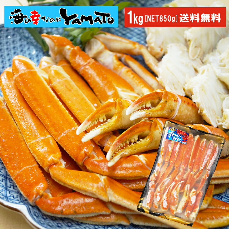 ハサミ不要の切れ目入り！ ボイル本ズワイ蟹脚 NET850g 総重量1kg カニ かに ズワイガニ ずわい蟹 蟹 船上凍結 グルメ 贈答 海鮮 ギフト お中元 敬老の日 お祝い あす楽