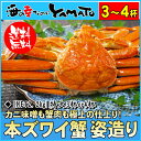 本ズワイ蟹“姿造り”2.5kg(NET2.2kg) カニ かに 年末 年始 お年賀 お歳暮