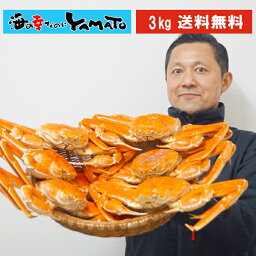 本ズワイ蟹姿造り 3kg(5～8尾入り) カニ かに 蟹 ずわい ずわいがに ずわい蟹 ズワイ ズワイガニ 蟹味噌 <strong>カニ味噌</strong> 海の幸 敬老の日 お歳暮 お祝い お歳暮