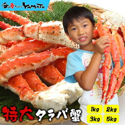 【楽天総合1位】特大タラバ蟹<strong>1kg</strong> 2kg 3kg 5kg 独自のワンフローズン カニ タラバガニ たらば タラバ かに 蟹 たらば蟹 たらばかに 父の日 お歳暮 敬老の日 ギフト グルメお歳暮