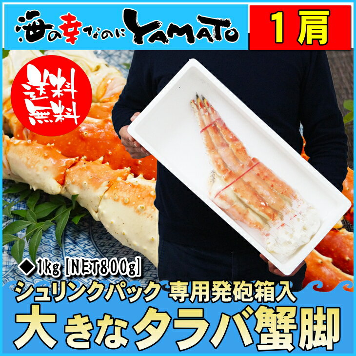 傫ȃ^oI 5LTCY ꌨ1kg [NET800g] VNpbN pC N Nn Ε N ΊI Mtg ̓
