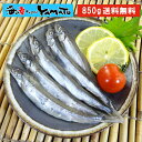 訳あり 子持ちシシャモ一夜干し たっぷり850g ししゃも ...
