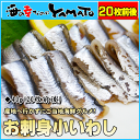 瀬戸内海広島産 お刺身小いわし 40gに20枚前後入り 鰯 ...